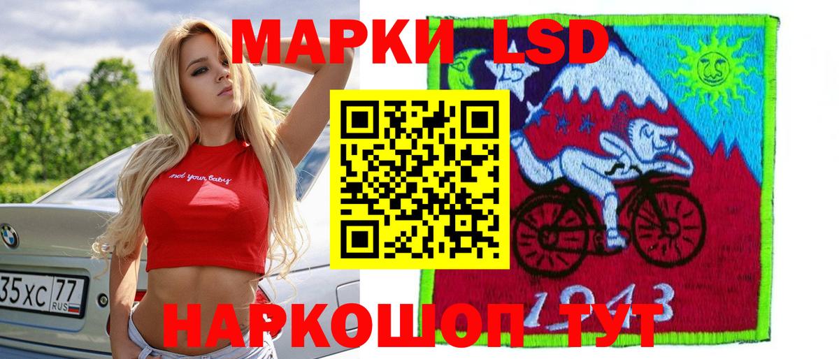A-PVP Ростов-на-Дону